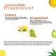 Atulya Vitamin C Face Serum 30 ml - Face Mists