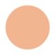 Pac Spotlight Liquid Concealer 1.5 Spiced Buttermilk 15gm - Concealer