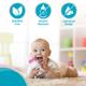 Vega Baby & Mom Tritan Feeding Bottle Regular Neck - Pink 150ml - Feeding & Nursing