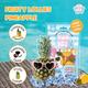 Pup Ice Fruity Lollies Pineapple 90 g - Petfood