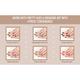 Nails On Board Handmade Press On Gel Nails- Chocolate Nude Medium 50 gm - Nail Care