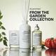Maison Margiela Replica From The Garden Scented Candle 165 gm - Candle