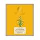 Forest Essentials Luxury Sugar Soap Sandalwood & Camphor Soap 125gm - Soaps