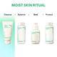 Innisfree Green Tea Amino Acid Foam Cleanser - Hydrating, Soft & Rich Cleanser for Daily Use 80 gm - Face Wash & Cleansers