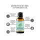 Essentia Extracts Peppermint Essential Oil 15 ml - Essential Oils