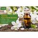 Vaadi Herbals Jasmine Essential Oil - Nourishes Dry & Damaged Hair, Improves Sleep, Uplifts Mood, Reduces Acne & Blemishes - 100% Pure Therapeutic Grade 10 ml - Essential Oils
