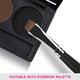 Vega Angular Blender Brush (PB - 08) 17.5 gm - Blush Brush