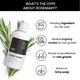 ThriveCo Anti - Dandruff Health Kit 300 ml - Hair Serums