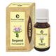 Passion Indulge BERGAMONT Essential oil For mild acne and pimple 10ML - Essential Oils