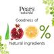 Pears Naturale Coconut Body Wash, Nourishing Skin 750 ml - Shower Gels & Body Wash