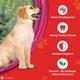 Nestle Purina Supercoat Puppy (Upto 12 Months) With Chicken Dog Food 2.5 kg - Petfood
