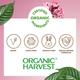Organic Harvest Moisture Matte Lipstick - Warm Apricot 4 gm - Lipsticks
