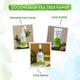 Mama earth Tea Tree Goodness Kit - Facial Kits