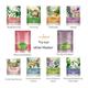 Luxa Derme Purify & Protect 3 Step Tune-Up Kit 31 gm - Facial Kits