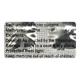 METHYLCORTIL 4mg Tablet 10's - Hormonal Therapy-Cor