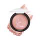 Miss Rose Skin Perfector Brick Highlighter 7003 - 126N 05 13 gm - Highlighters & Illuminators