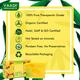 Vaadi Herbals Handmade Soap with Essential Oils - Refreshing Lemon & Basil 75gm - Soaps