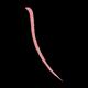 Essence Soft Contouring Lipliner-08 1.4 gm - Lip Liners