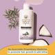 Coco Soul Rosemary Hair Oil With Extra Virgin Coconut Oil - Makers Of Parachute Advansed 200 ml - Hair Oils