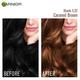 Garnier Color Naturals Creme Riche Sachet, Shade 5.32, Taapsee's Caramel Brown 60 gm - Crème