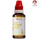 Bjain Omeo Dysentery Drops 30 ml - Homeopathic Drops