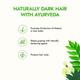 Kapiva Hair Rituals Grey Control Hair Oil - Curry Leaf 200 ml - Hair Oils