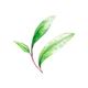 Brillare Professional Oil Away Power Drops, 100% Natural Face Serum with Tea Tree and Rosemary 15 ml - Face Serum