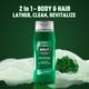 Brut Original All-In-One Hair & Body Shower Gel + Loofah 500 ml - Shower Gels & Body Wash