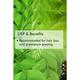 Organic Harvest Essential Oil - Curry Leaf 10 ml - Essential Oils