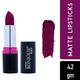 Bonjour Paris Silk Matte Lipstick-Mauve 4.2 gm - Lipsticks