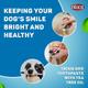 Trixie Dog Toothpaste with Tea Tree Oil 100 gm - Pet Grooming