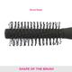 Vega Round Brush (E2 - RB) 1's - Hair Brushes