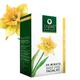 Organic Harvest Facial Kit - Organic Shield-Anti Tan 50 gm - Facial Kits