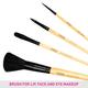 Vega Set Of 4 Brushes (EVS - 04) 35 gm - Face Brush