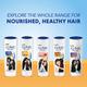 CLINIC PLUS Strength & Shine, with Egg Protein, Shampoo, for Strong & Shiny Hair 175 ml - Shampoos