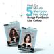 BBlunt Natural Black Salon Secret 5 Minute Shampoo Hair Colour Nourished & Shiny Hair 100% Grey Coverage 20ml each 5's - Shampoos