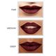 Star Struck by Sunny Leone Starry Night Lip Kit Lipstick and Lip Liner 2's - Lip Glosses