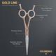 Vega Professional Goldwings 6' Gold Line Hairdressing Scissor (VPPSC-02) 1's - Grooming Kits