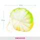 Vega Flower Sponge Small (BA - 3/22) 66 gm - Loofahs & Sponges