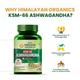 Vlado's Himalayan Organics KSM - 66 Ashwagandha Veg Capsules 60's - Sexual Care