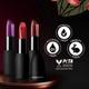 Facescanada Weightless Matte Finish Lipstick Wine Rouge 30 4.5 gm - Lipsticks