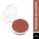 Swiss Beauty Professional Blusher - (Glaze Bronzing) 4 gm - Blushes