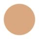PAC Take Cover Concealer 03 Butterscotch 6.8 gm - Concealer