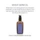 Nyassa Wheat Germ Cold Pressed Oil 100 ml - Massage Oils