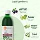 Krishna's Herbal & Ayurveda Diabic Care Juice 500 ml - Diabetes Care (Ayush)
