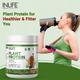 INLIFE Plant Protein Powder - Chocolate Flavour 500 gm - Protein Drink