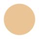Pac Spotlight Liquid Concealer 02 Skin 15gm - Concealer