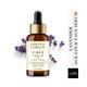 Essentia Extracts Age-Lock Face Serum- Prevents Premature Ageing 15 ml - Face Moisturizers