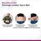Flamingo Lumbar Sacro Belt - Black & Orange (OC - 2001) (M) 1's - Abdomen/Neck/Arm/Elbow Supports