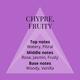 Colour Me Femme Purple Eau De Parfum 100 ml - Women Perfumes (Edt/Edp)